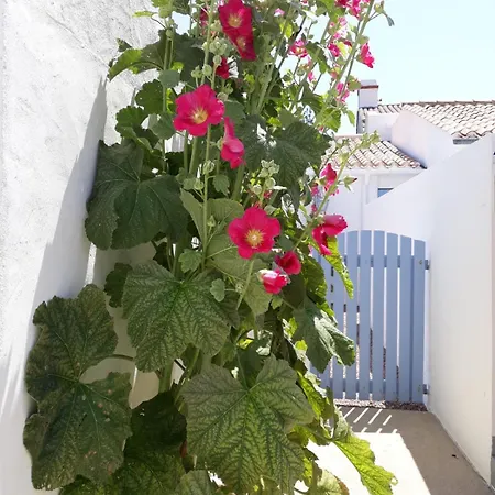 Hébergement de vacances Les Volets Bleus Saint-Gilles-Croix-de-Vie