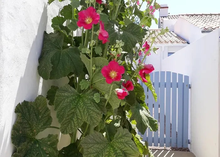 Hébergement de vacances Les Volets Bleus Saint-Gilles-Croix-de-Vie